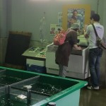 加太昼市の様子